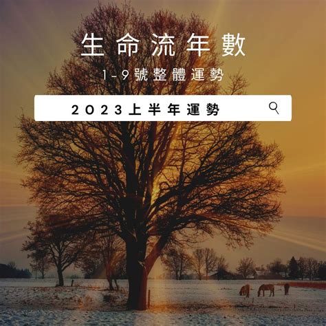 2023生命靈數流年|生命靈數「2023流年運勢」解析：流年1